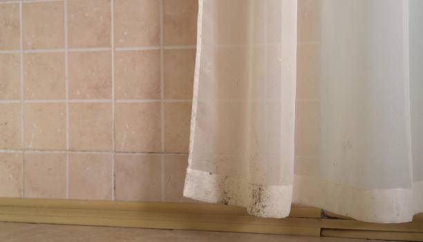 Dehumidification Services in Otsego, MI