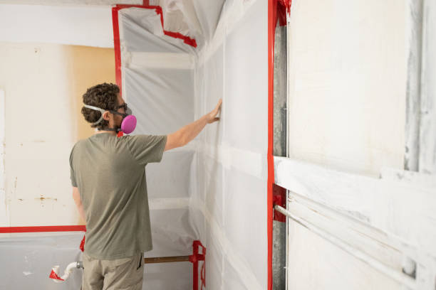Best Mold Removal for HVAC Installations  in Otsego, MI