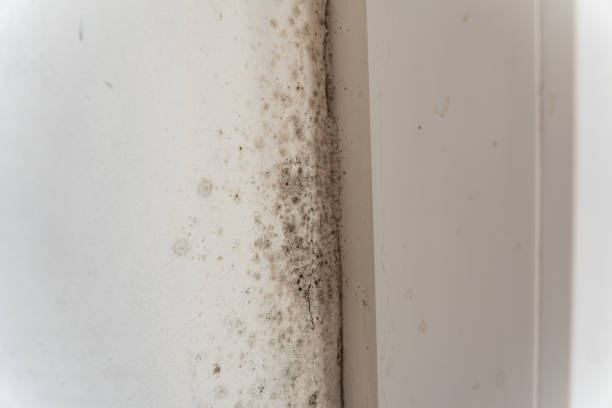 Best Post-Remediation Verification Testing  in Otsego, MI